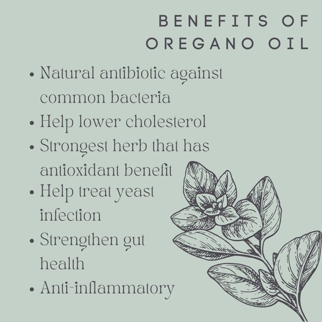 Oregano Oil 加拿大製造 - 6 month supply