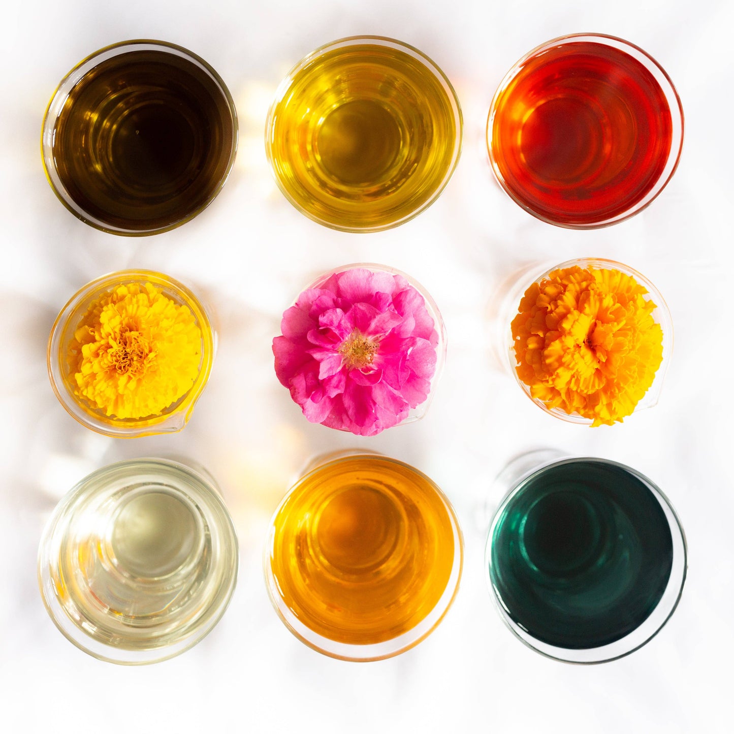 (預計2025年11月14日發貨)East Coast Glow: 越橘薄荷 | 野生草本潤唇膏