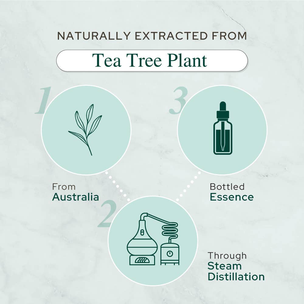 Tea Tree Oil (茶樹油)