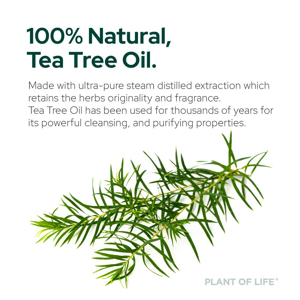 Tea Tree Oil （茶樹油）香氛、護膚及護髮功效