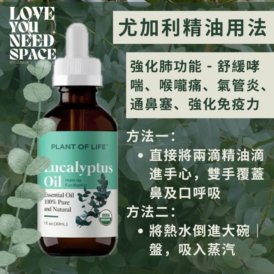 Eucalyptus Essential Oil 尤加利精油 (Plant of Life)