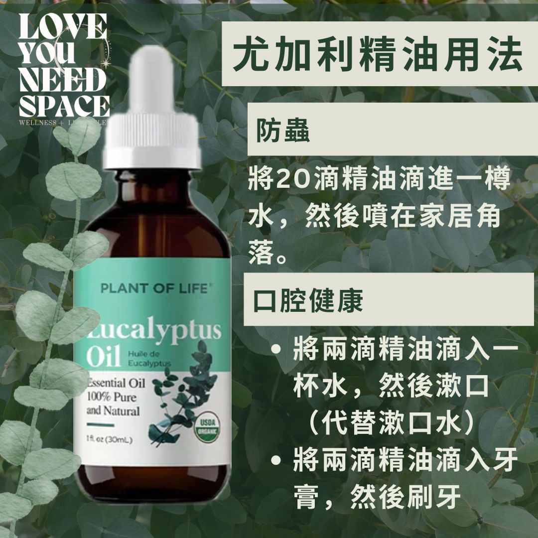 Eucalyptus Essential Oil 尤加利精油 (Plant of Life)