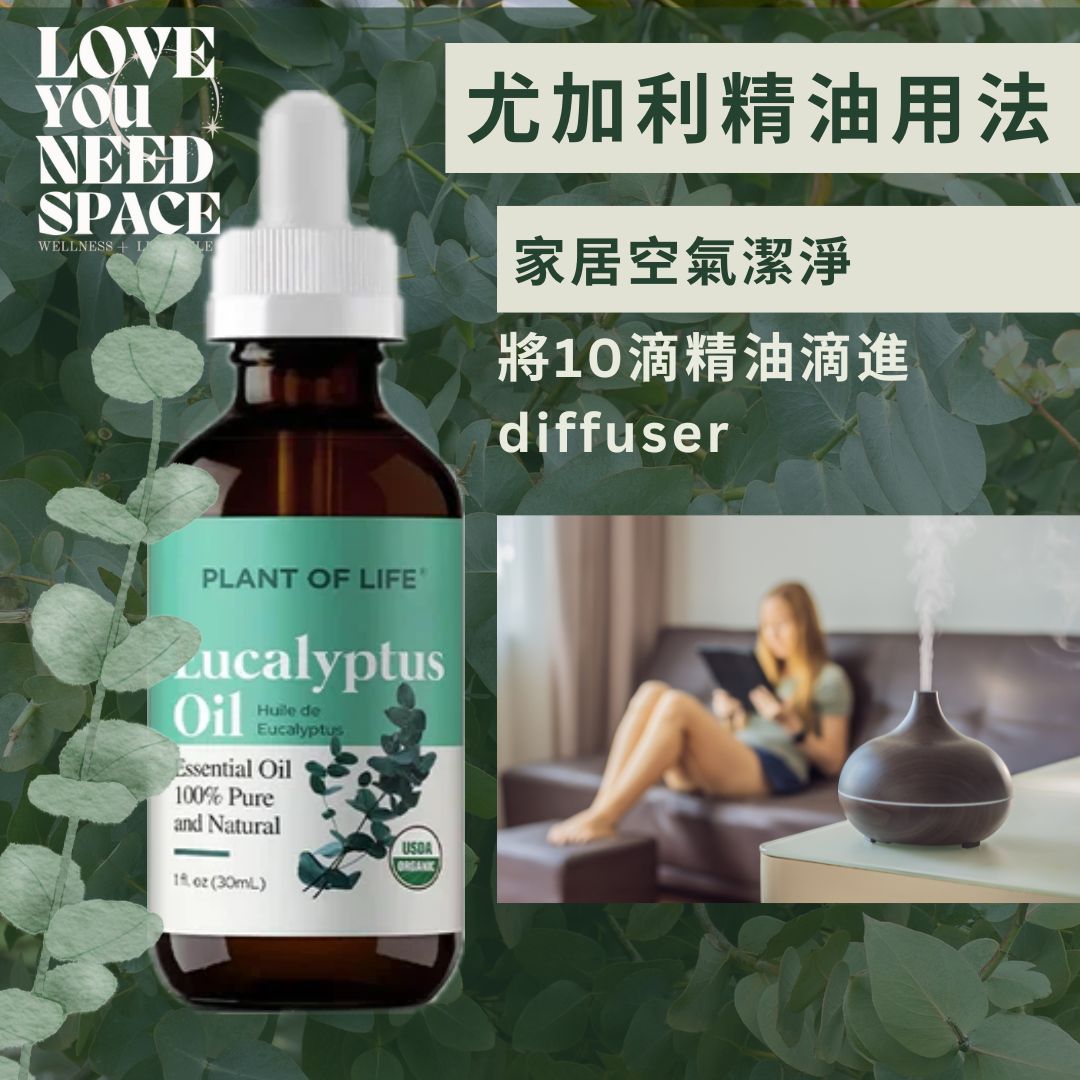 Eucalyptus Essential Oil 尤加利精油 (Plant of Life)