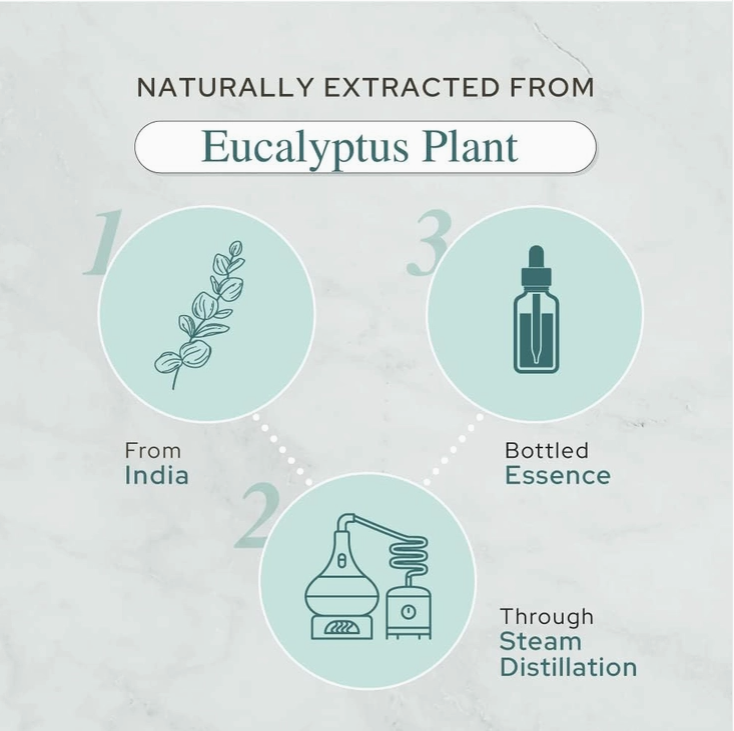 Eucalyptus Essential Oil 尤加利精油 (Plant of Life)